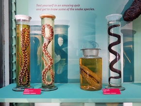 prirodoslovni muzej ljubljana 7-2023 9124